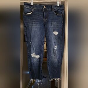 Distressed Maurices Capris